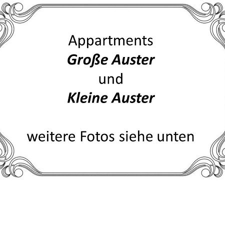 Auster-Appartements Saarbrücken Kültér fotó