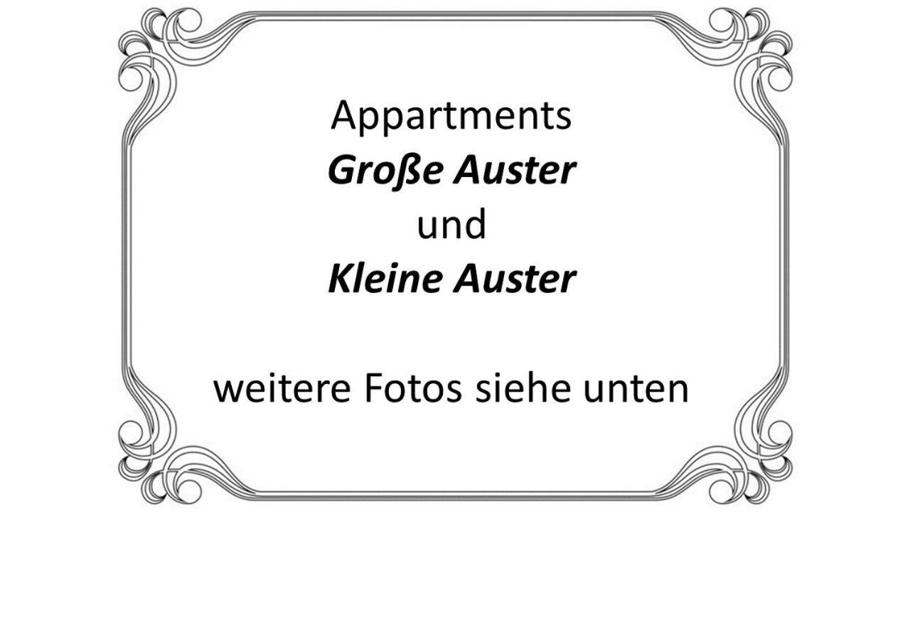 Auster-Appartements Saarbrücken Kültér fotó